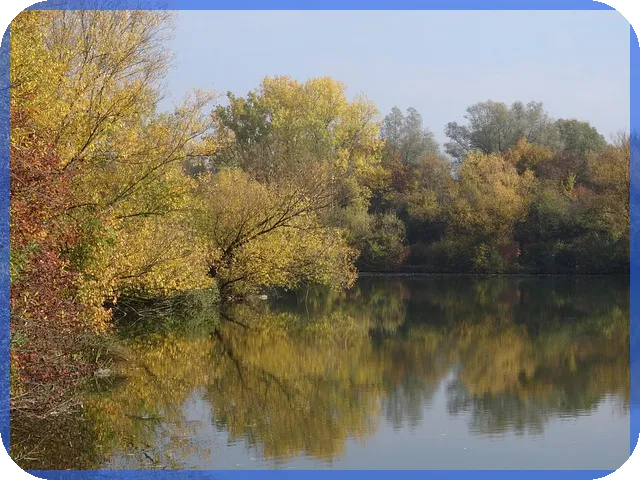 실업급여일수계산 필수알아보기 고용노동부 공식 활용법