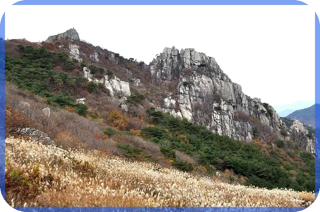 실업급여일수계산 필수알아보기 고용노동부 공식 활용법