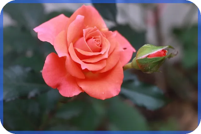 현대해상담보대출 금융비용 절약 전략