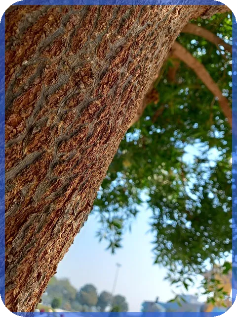 SBI저축은행SBI중금리대환으로 금리 절감하는 방법은?