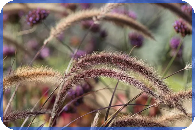 SBI저축은행SBI중금리대환으로 금리 절감하는 방법은?
