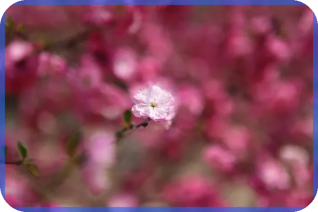 원리금균등상환계산기로 스마트한 대출 관리 시작하기