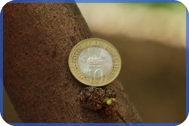 햇살론뱅크조건으로 저금리 대환 시작하기